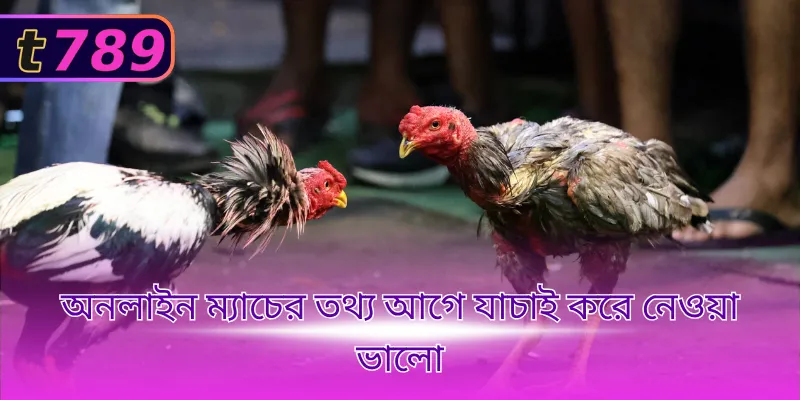 অনলাইন ম্যাচের তথ্য আগে যাচাই করে নেওয়া ভালো