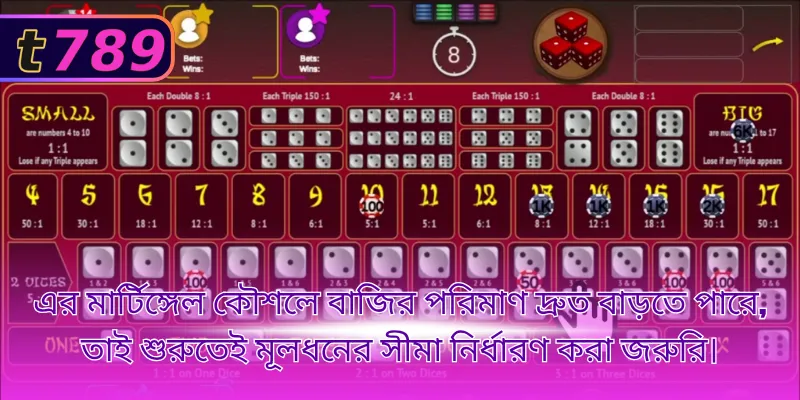 এর মার্টিঙ্গেল কৌশলে বাজির পরিমাণ দ্রুত বাড়তে পারে, তাই শুরুতেই মূলধনের সীমা নির্ধারণ করা জরুরি।