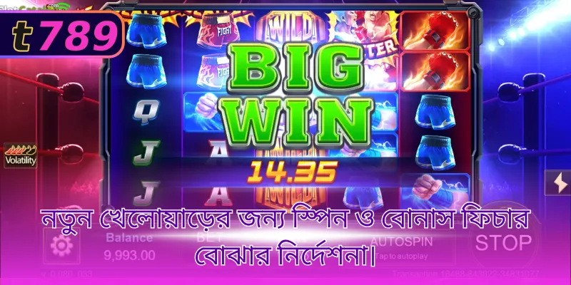 নতুন খেলোয়াড়ের জন্য স্পিন ও বোনাস ফিচার বোঝার নির্দেশনা।