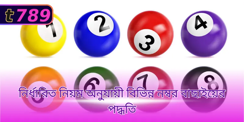 নির্ধারিত নিয়ম অনুযায়ী বিভিন্ন নম্বর বাছাইয়ের পদ্ধতি