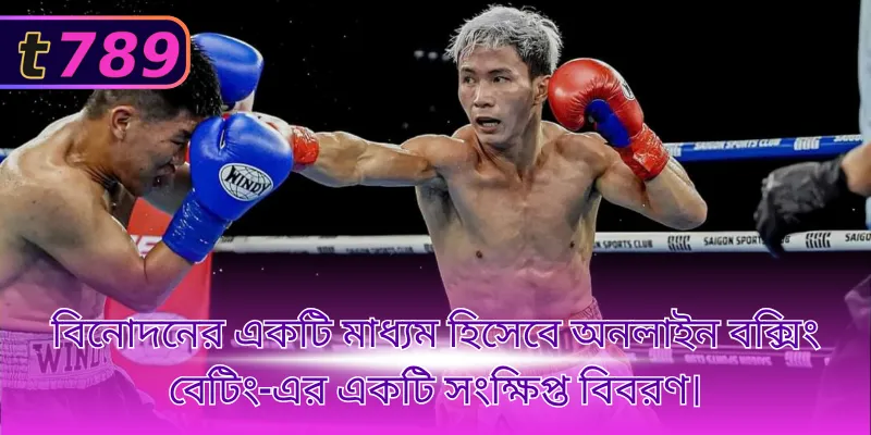 বিনোদনের একটি মাধ্যম হিসেবে অনলাইন বক্সিং বেটিং-এর একটি সংক্ষিপ্ত বিবরণ।