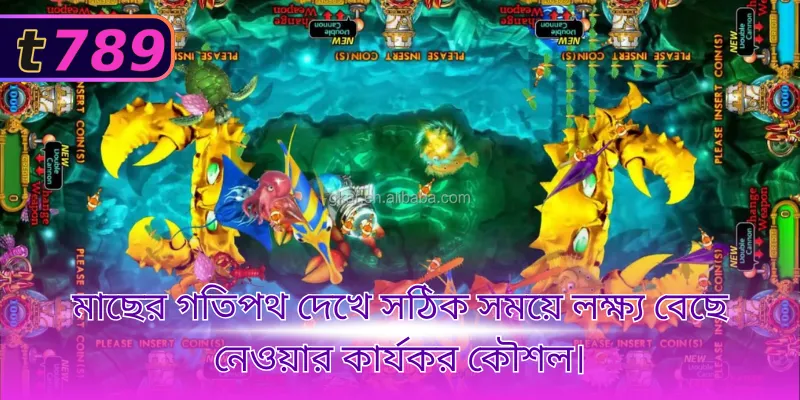 মাছের গতিপথ দেখে সঠিক সময়ে লক্ষ্য বেছে নেওয়ার কার্যকর কৌশল।