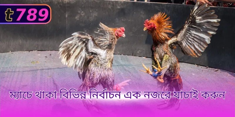 ম্যাচে থাকা বিভিন্ন নির্বাচন এক নজরে যাচাই করুন