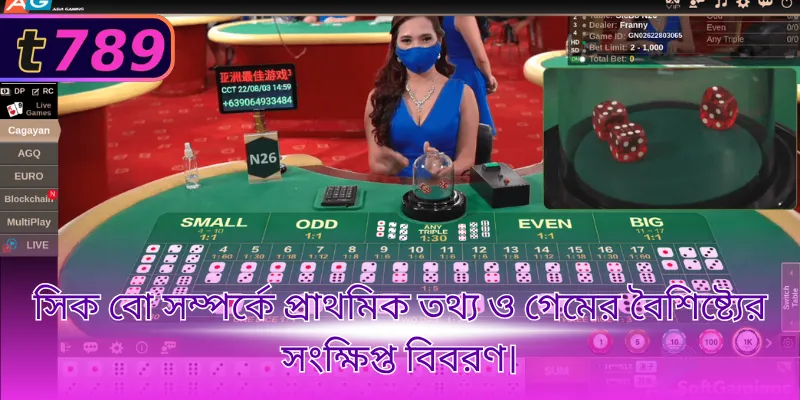 সিক বো-এর মৌলিক নিয়ম ও বাজির ধরন আগে ভালোভাবে বোঝা প্রয়োজন।